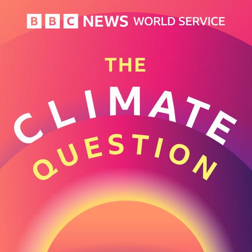 Your Questions Answered