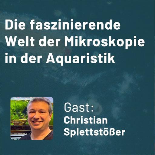 412: Die faszinierende Welt der Mikroskopie in der Aquaristik (Christian Splettstößer)