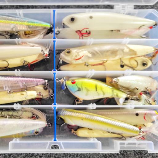 Why 90% of Beginners Get Topwater Fishing WRONG (#241)