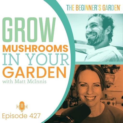 427 - Grow Mushrooms in Your Garden with Matt McInnis