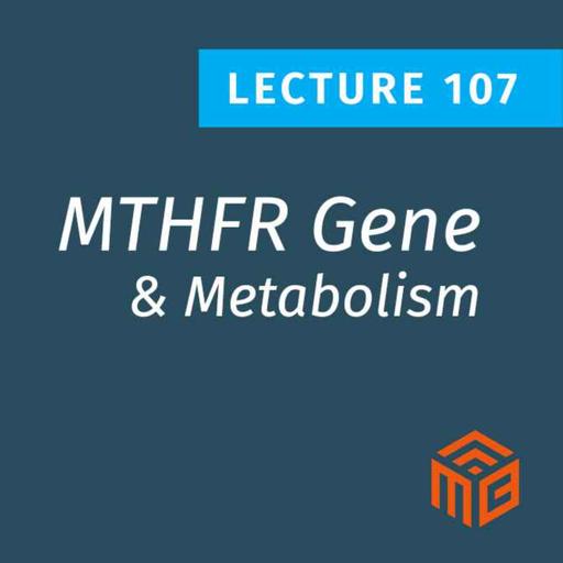How the MTHFR Gene Affects Our Metabolic Health