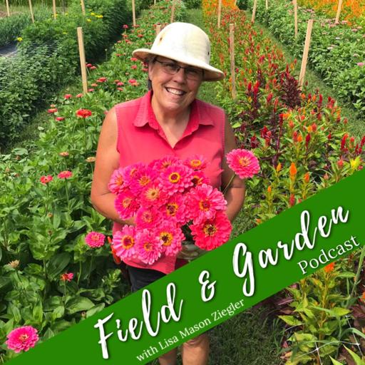 #348: Top 3 Perennials That Pull Their Weight with Dave Dowling