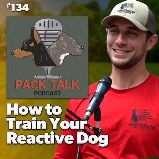 #134 How to Train your Reactive Dog | Stop Reactivity