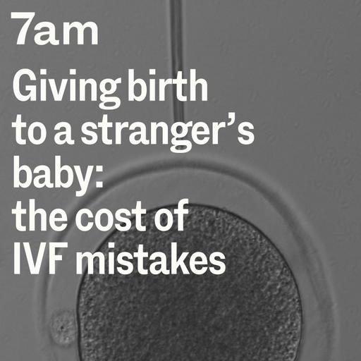 Giving birth to a stranger's baby: The cost of IVF mistakes