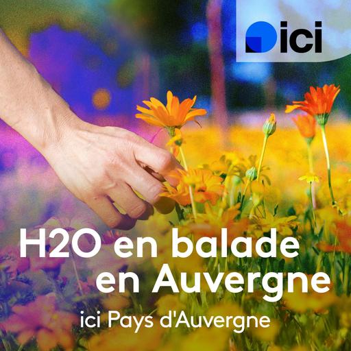 Les libellules de la Dore à RIS en Livradois-Forez