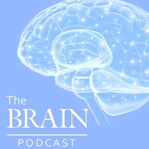 Nephrology Meets Neurology: how kidney health links to neurodegeneration