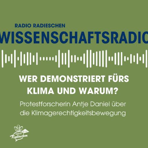 Wer demonstriert fürs Klima und warum?