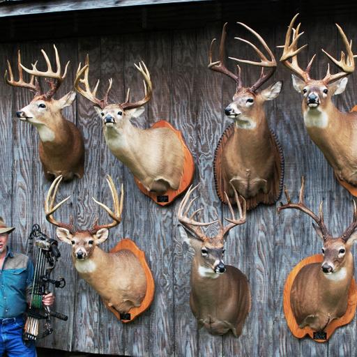 #359 - The Bobby Worthington Masterclass In Woodsmanship That EVERYONE Needs To Hear! Finding The Right Funnels To Hunt, Making A Mock Scrape That Actually Works, and The Art Of Killing Mature Bucks