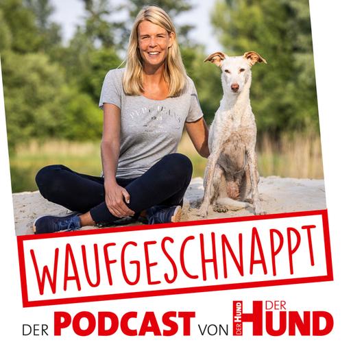 Fitness für Seniorhunde - Martina Flocken
