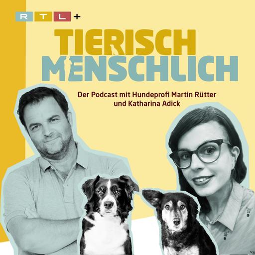 221 - Gewissensgründe