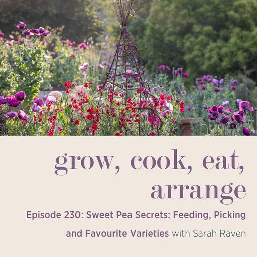 Sweet Pea Secrets: Feeding, Picking and Favourite Varieties - Episode 230