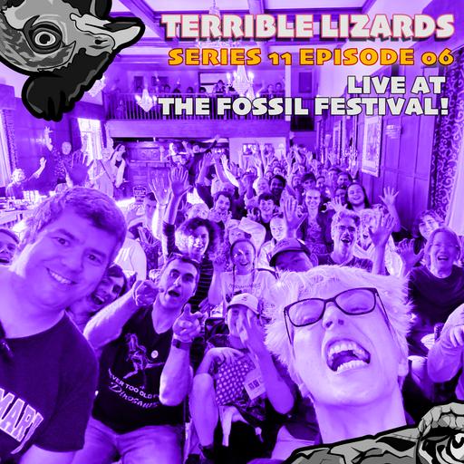 TLS11E06 LIVE AT FOSSIL FESTIVAL