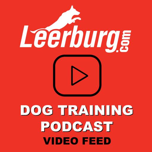 Preparing Dog Training Rituals to Tell Your Dog What We Are Doing