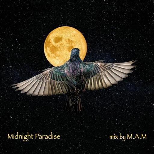Midnight Paradise (Melodic & Afro House)