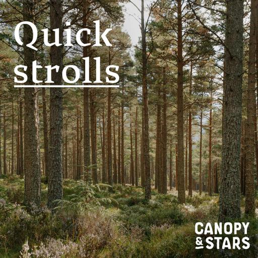 Quick Strolls: Slowing Down