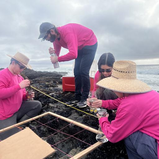 Best of Blue Dot: Microplastics in the marine environment