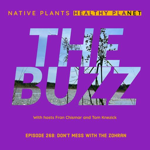 The Buzz - Don't Mess with the Zohran