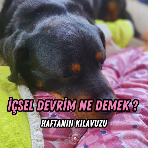 Haftanın Kılavuzu | İçsel Devrim Ne Demek?