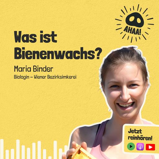 Ahaa! - Was ist Bienenwachs?
