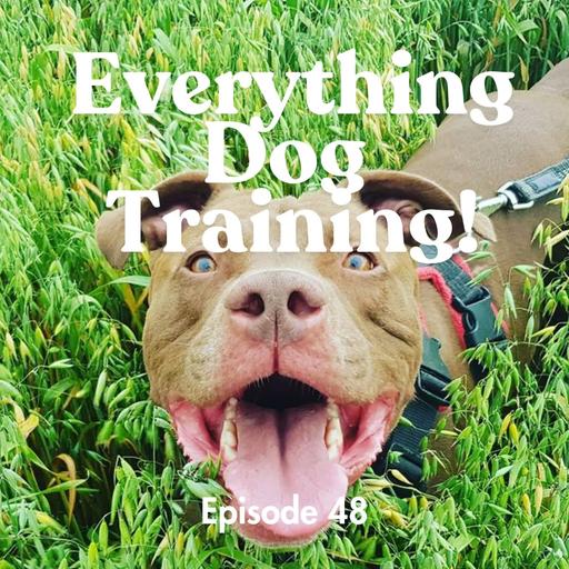 Episode 48