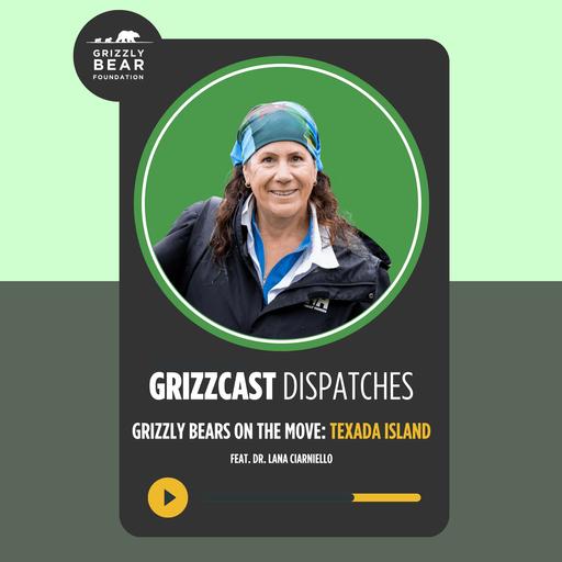Dispatch #2: Grizzly Bears on the move — Texada Island | Dr. Lana Ciarniello