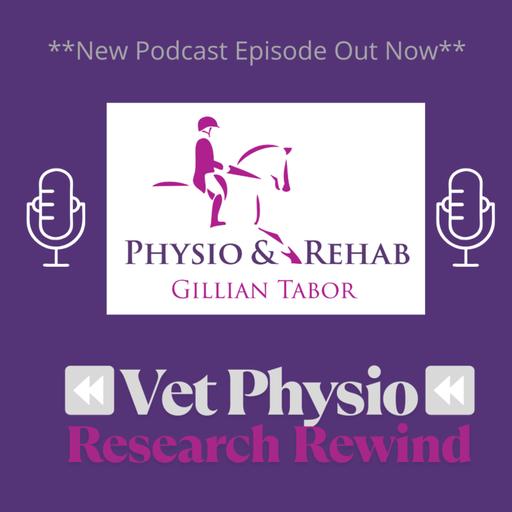 Vet Physio Research Rewind - My new podcast direction!