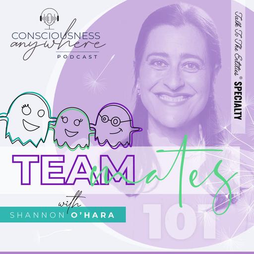 E101: Teammates | Consciousness Anywhere Podcast: Shannon O’Hara