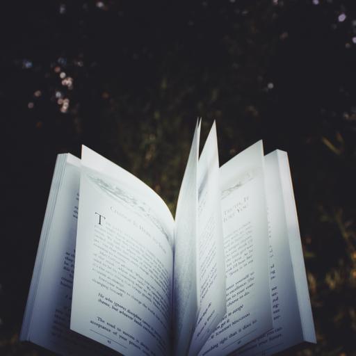 TLP466: Story Is The Vehicle, Not The Cargo with Dan Manning