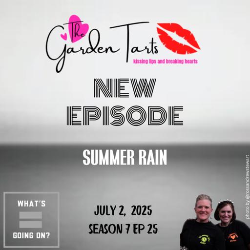 Mini Ep: Summer Rain