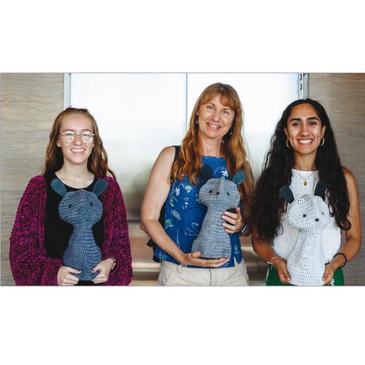 Socially Assistive Robots, Part 2