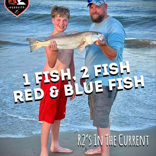 1 Fish, 2 Fish, Red & Blue Fish - R2's In The Current