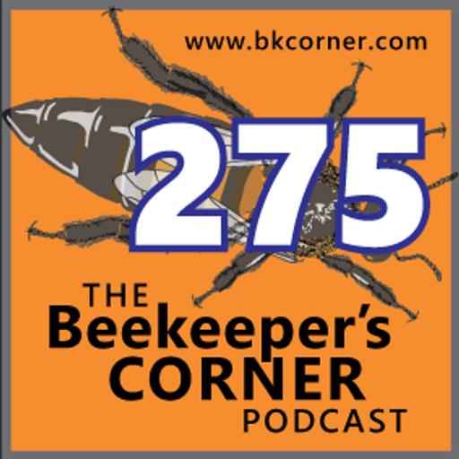 BKCorner Episode 275 - Hodge Podge