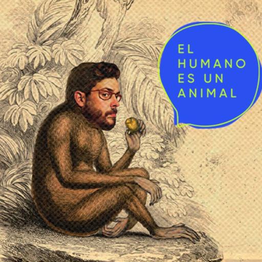 349 | Historias de engaños y engañados