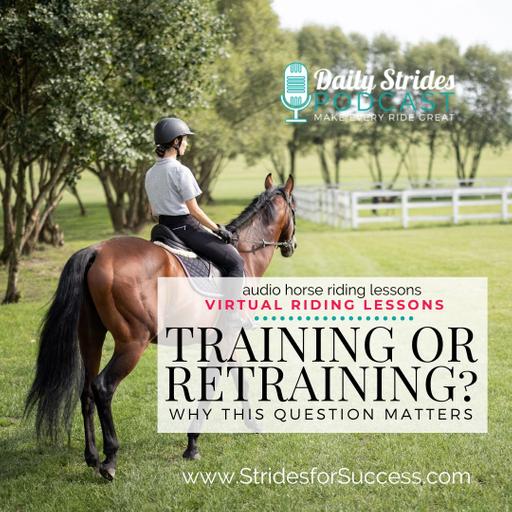 Are You Training or Retraining? Why Figuring This Out Changes Everything
