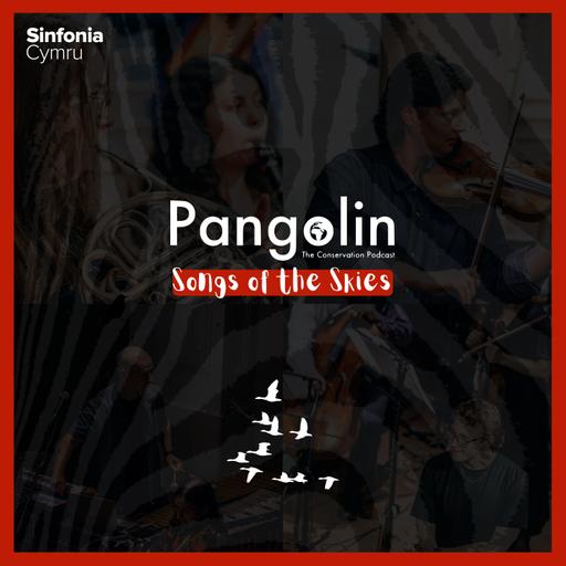 115. Songs of the Skies (with Caroline Tress from Sinfonia Cymru)