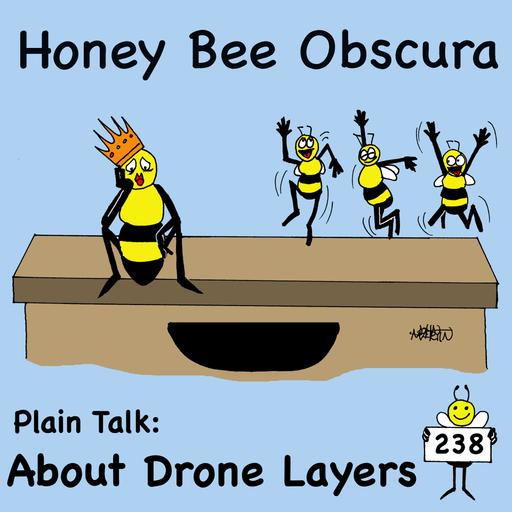 Plain Talk: About Drone Layers (238)
