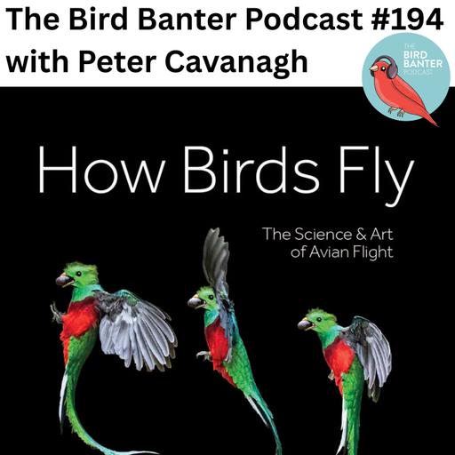 The Bird Banter Podcast #194 with Peter Cavanagh