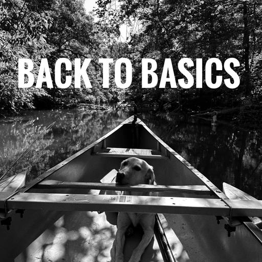 Back to Basics