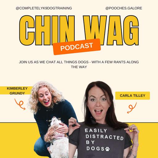 Doggy Language Decoded: What Your Dog’s Really Trying to Tell You