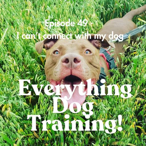 Episode 49 - I can't connect with my dog