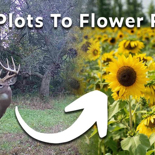 337: Turning Tillable Into Tourism: How Corey Sullivan Is Making Money With A U-Pick Flower Business On His Hunting Property