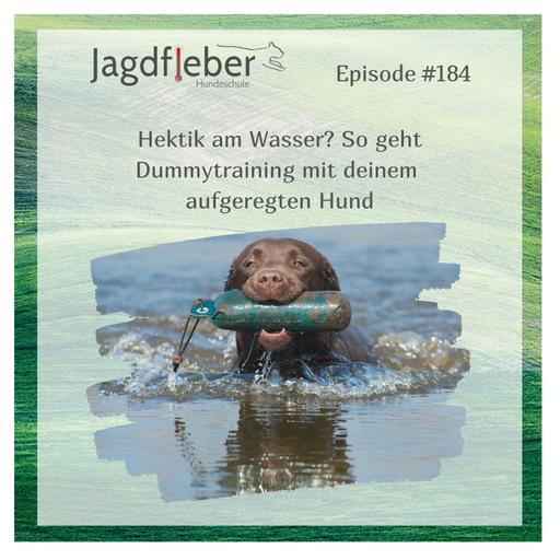 P184: Hektik am Wasser? So geht Dummytraining mit deinem aufgeregten Hund