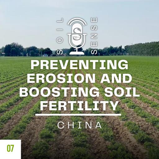 Preventing Erosion and Boosting Fertility in China