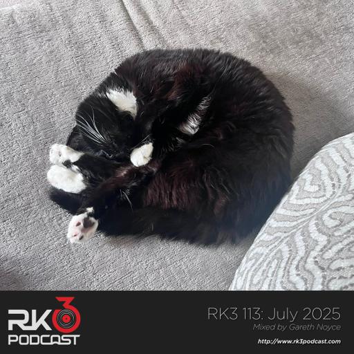 RK3 113: July 2025
