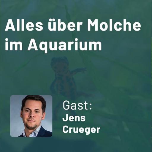 Alles über Molche im Aquarium (Jens Crueger)