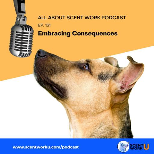 Embracing Consequences