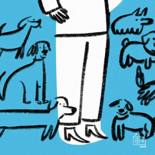 EP237：「月月轻松」救助流浪狗，到哪一步该收手？