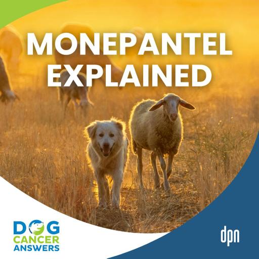 A Daily Pill for Dog Lymphoma? The Promise of Monepantel Explained | Kim Agnew, BVSc #287