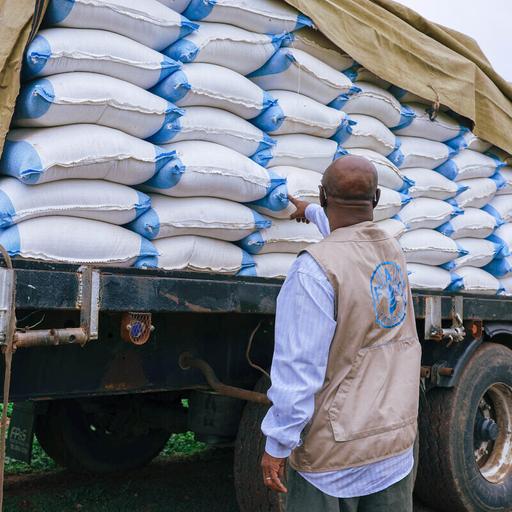 FAO Brief – 7 July 2025