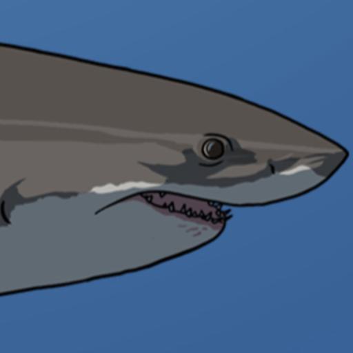 Shark Week Special 2025